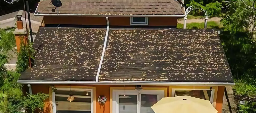 Before-and-after roof work in progress